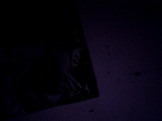 candicelovee Porn Show