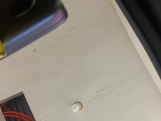 candicelovee Porn Show