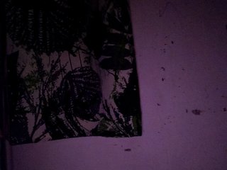 candicelovee Porn Show