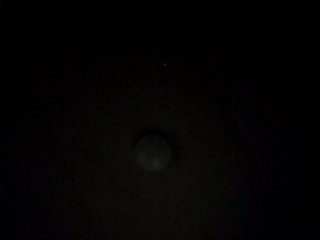 candicelovee Porn Show