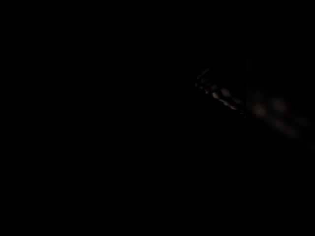 Preview of candicelovee