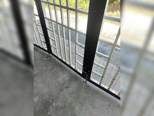 candicelovee's BongaCams show and profile