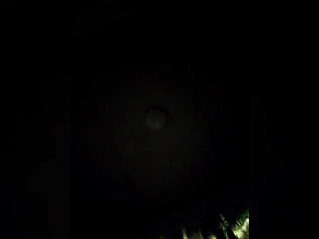 Preview of candicelovee