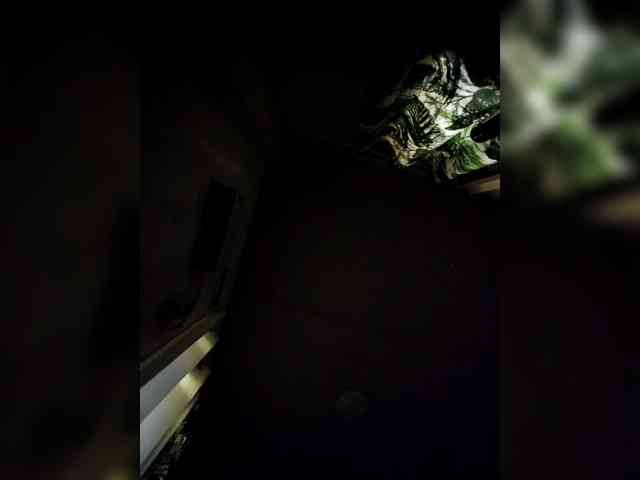 candicelovee candicelovee