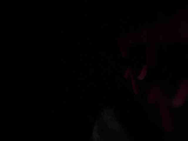 candicelovee candicelovee