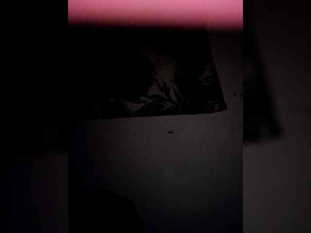 candicelovee candicelovee