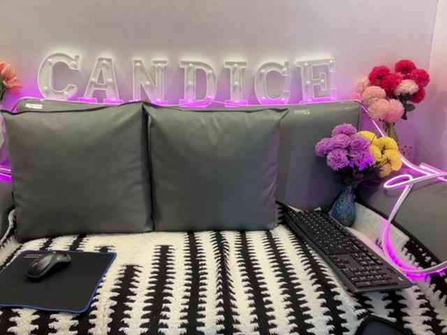 candicelovee webcam