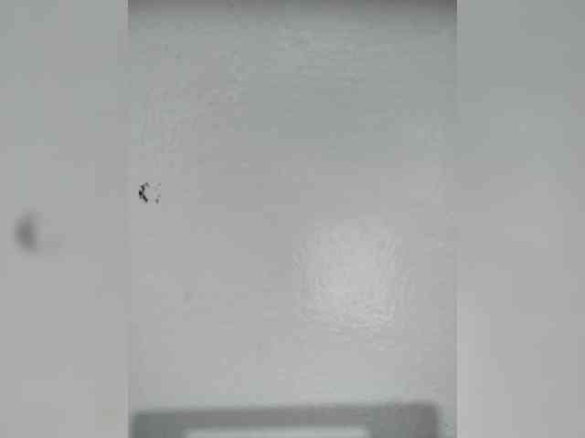 candicelovee candicelovee