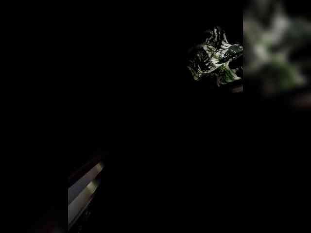 candicelovee candicelovee