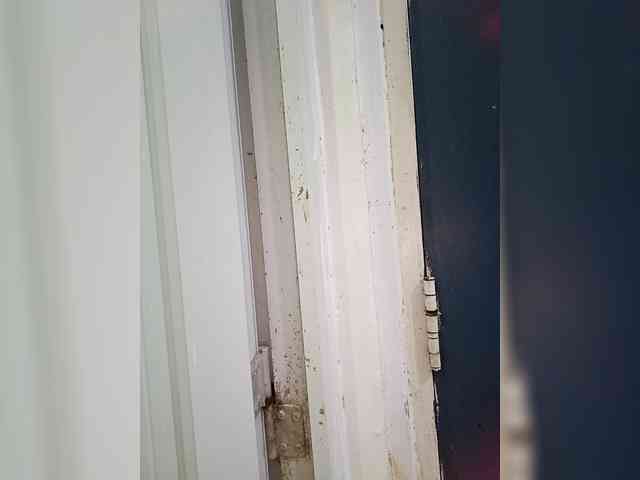 candicelovee candicelovee