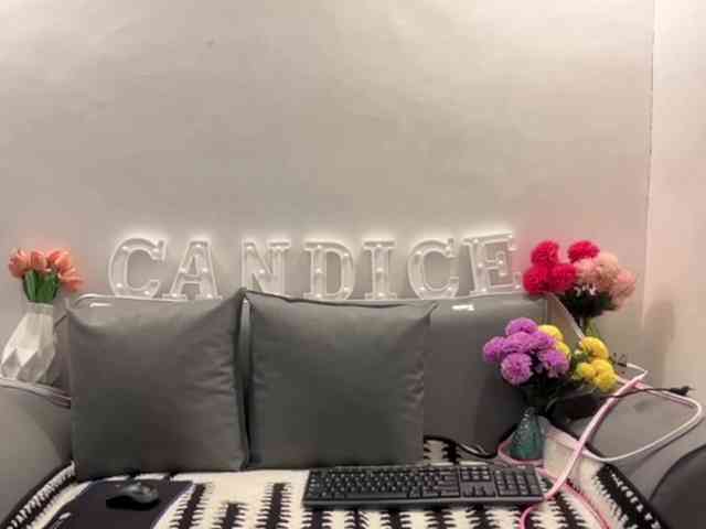 candicelovee webcam
