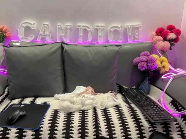 candicelovee webcam