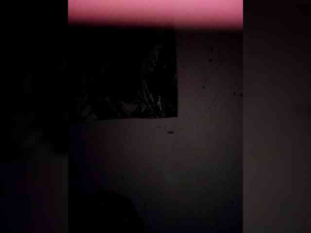 candicelovee candicelovee