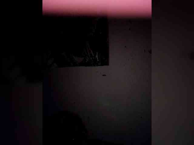 candicelovee candicelovee