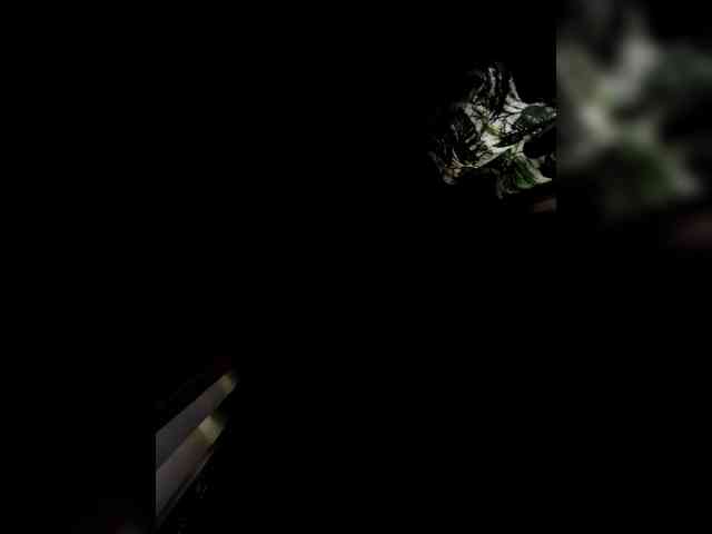 candicelovee candicelovee