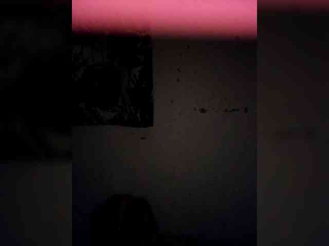 candicelovee candicelovee