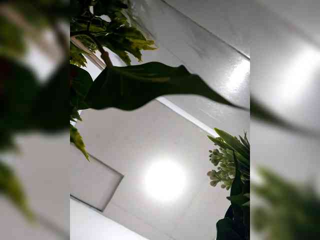 candicelovee candicelovee