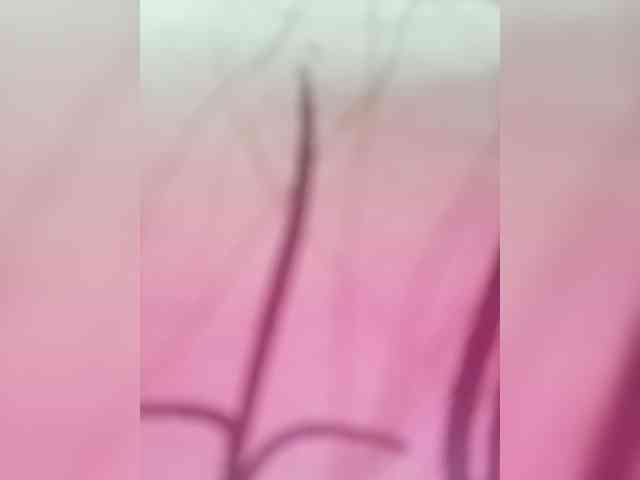 candicelovee candicelovee