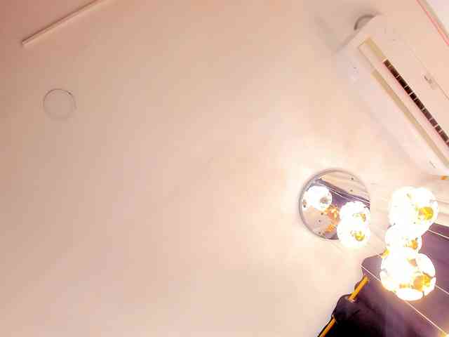 SarayRoyse SarayRoyse