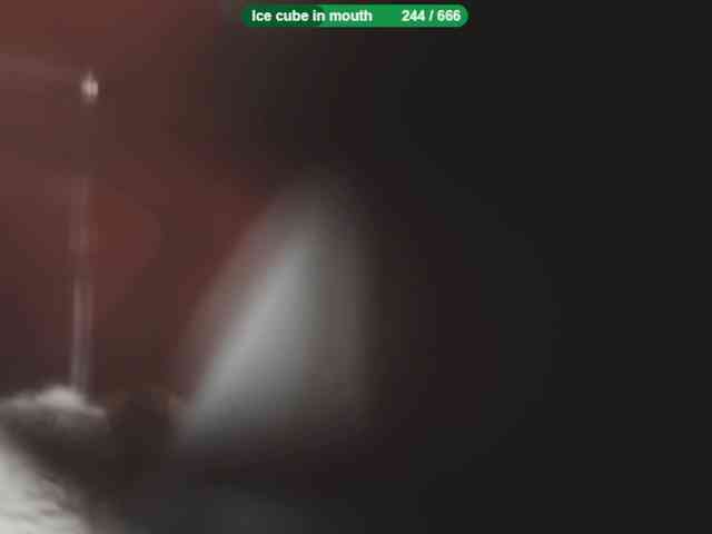 Omiliver webcam