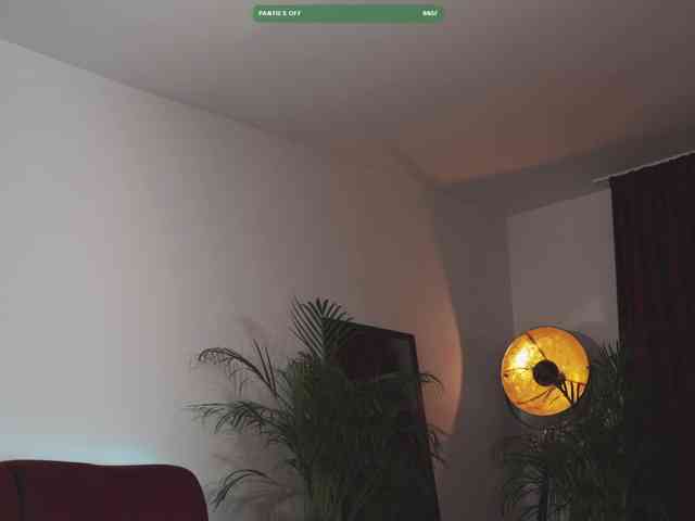 streaming web cam Omiliver
