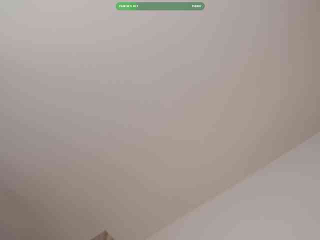 Omiliver webcam