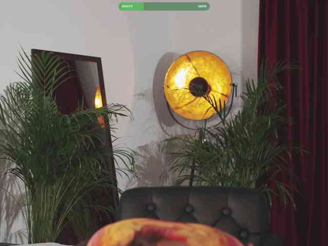 Omiliver webcam