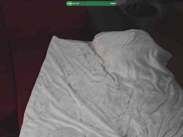 Omiliver webcam