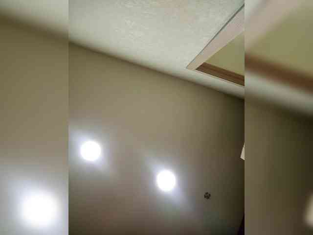 Kristicat webcam