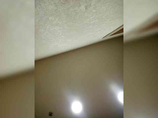 Kristicat webcam