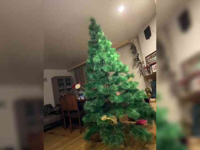 -AnnaMaria- -AnnaMaria-