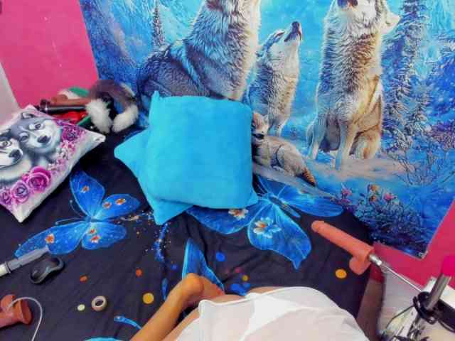 charlotte-111 charlotte-111