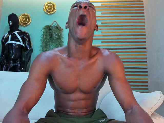 martin-killerx martin-killerx