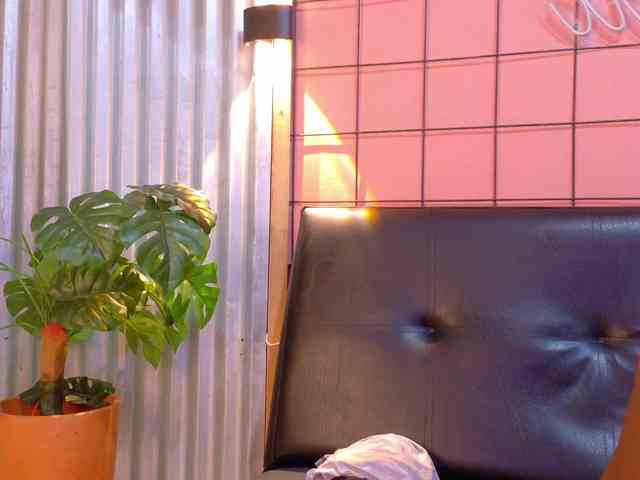 martin-killerx martin-killerx