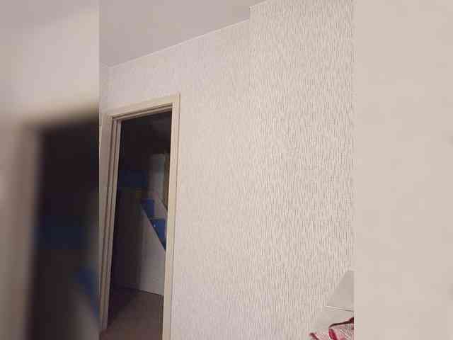 Vetka-konfetka webcam