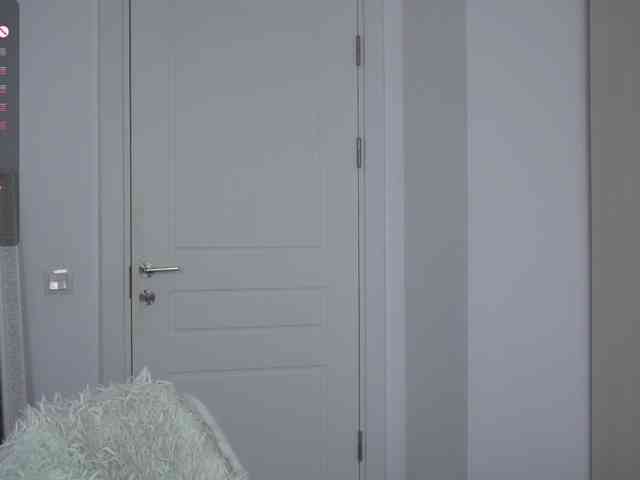 jocelynnstars webcam