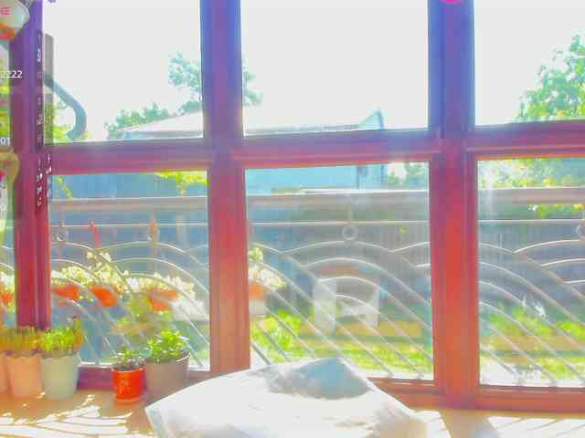 Moona-One webcam