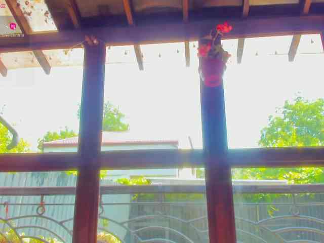 Moona-One webcam
