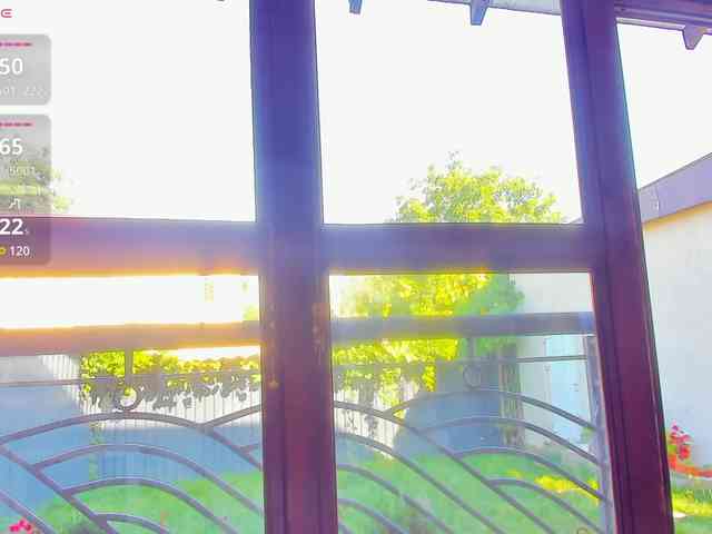 Moona-One webcam