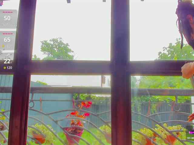 Moona-One webcam