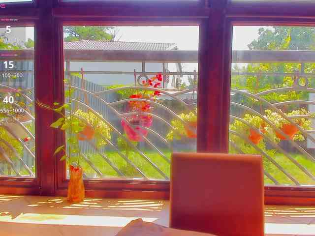 Moona-One webcam