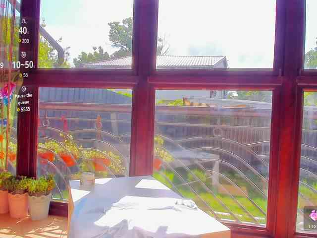Moona-One webcam