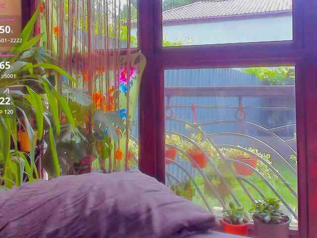 Moona-One webcam