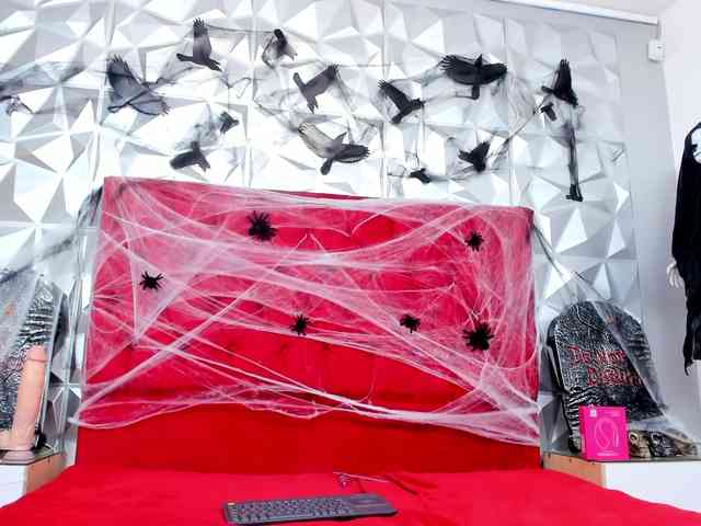 steacy-19 webcam