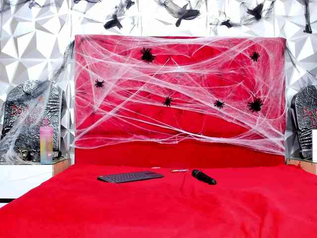 steacy-19 webcam