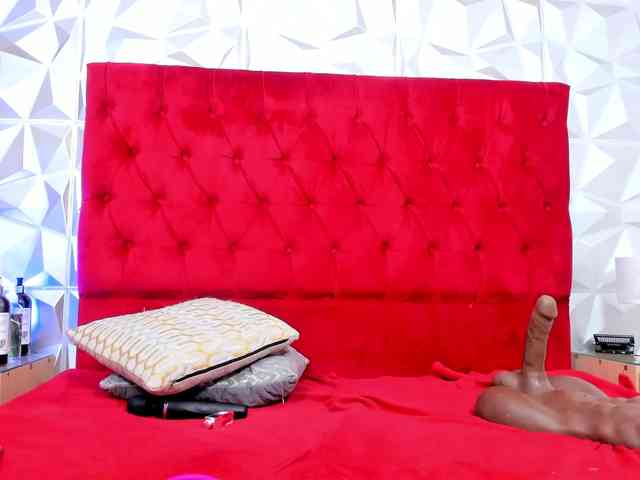 steacy-19 webcam