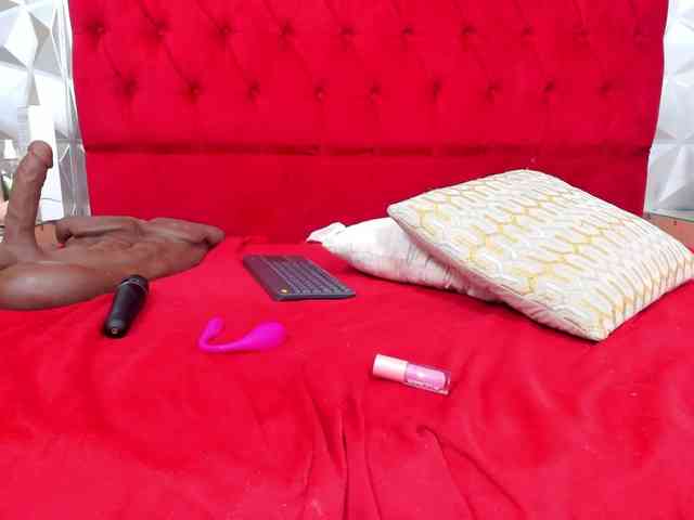 steacy-19 webcam