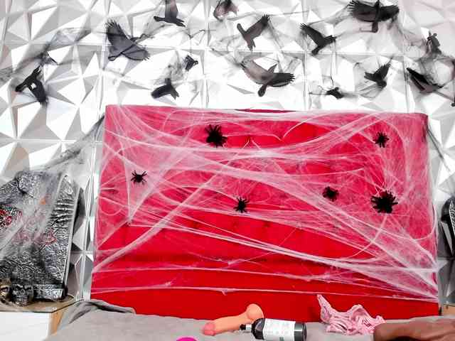 steacy-19 webcam