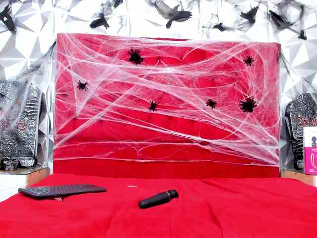 steacy-19 webcam