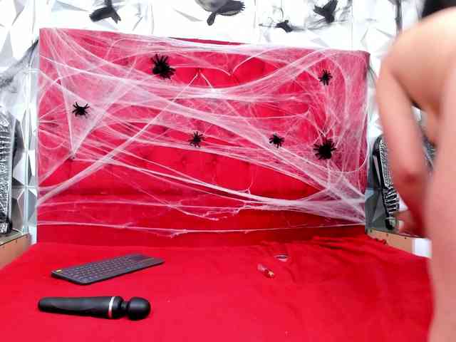 steacy-19 webcam